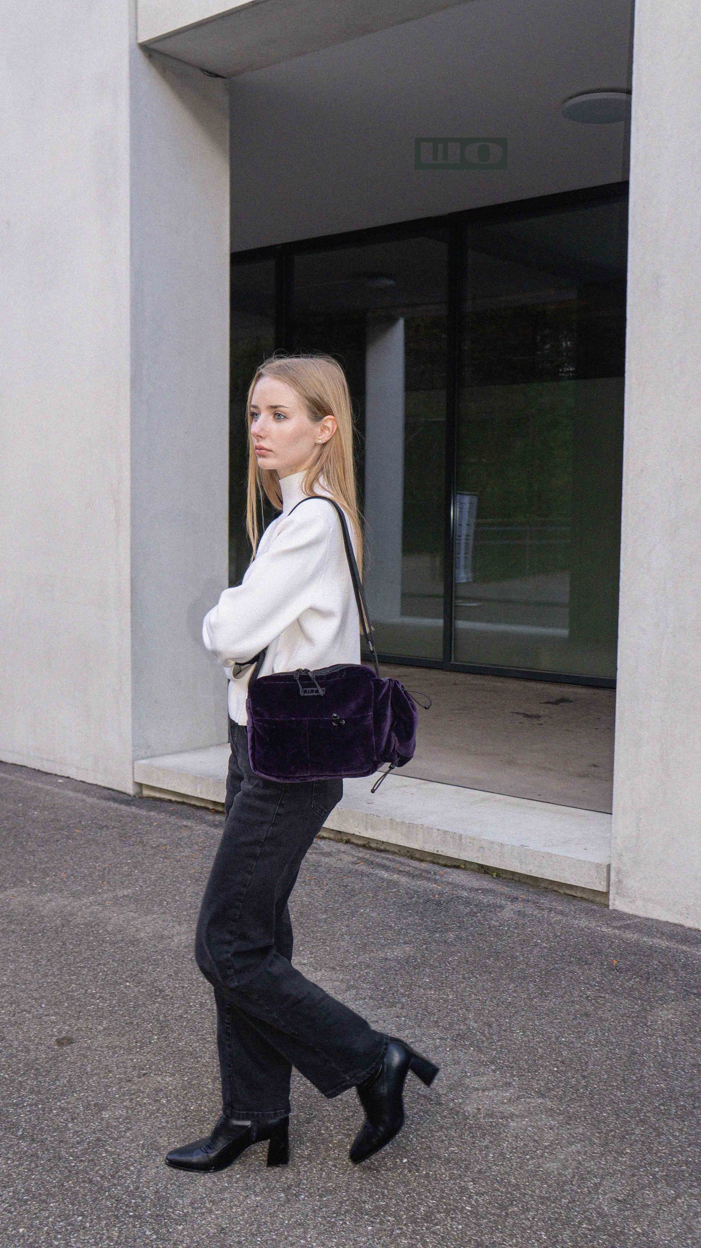Aubergine Velour Bag