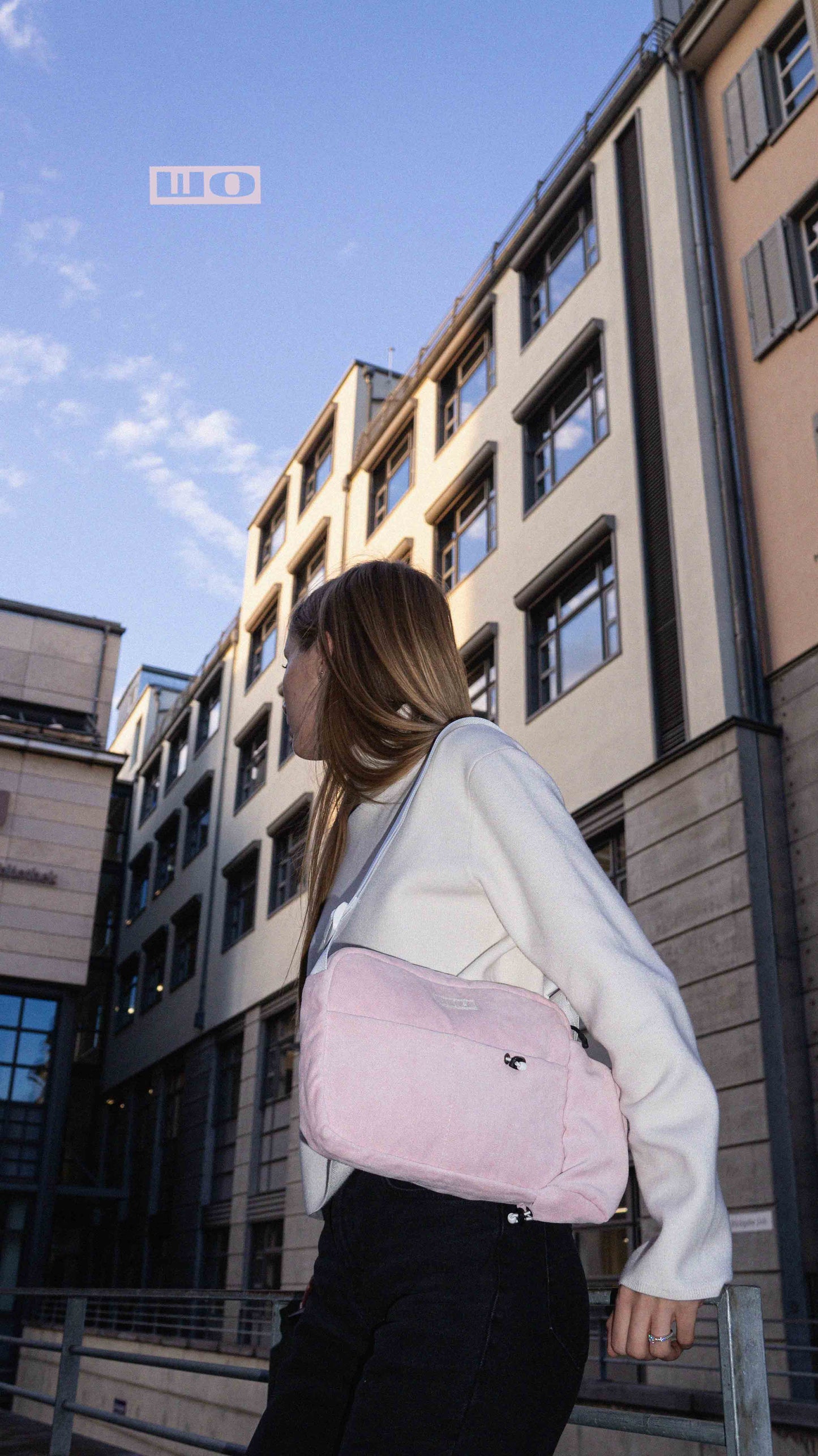 Pink Velour Bag